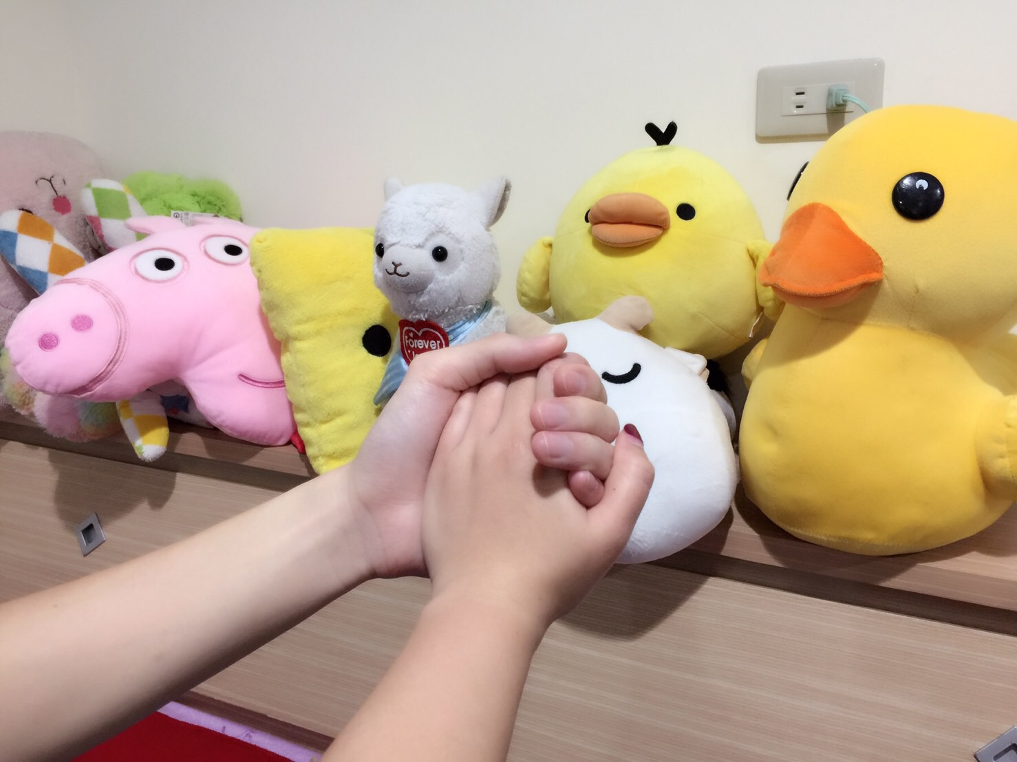 阿修与小婕时光, 婚礼情报│wed168